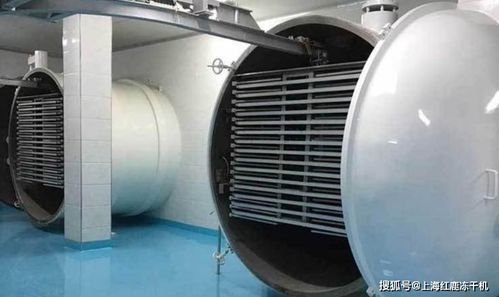 冻干食品市场分析及食品冻干生产设备发展趋势与光伏设备及元器件销售的关联